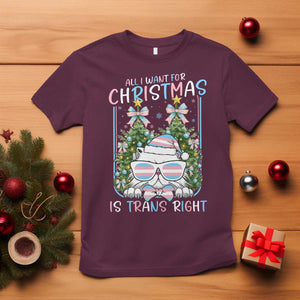Funny Santa Cat Trans Pride T Shirt All I Want For Christmas Is Trans Rights TS12 Maroon Print Your Wear