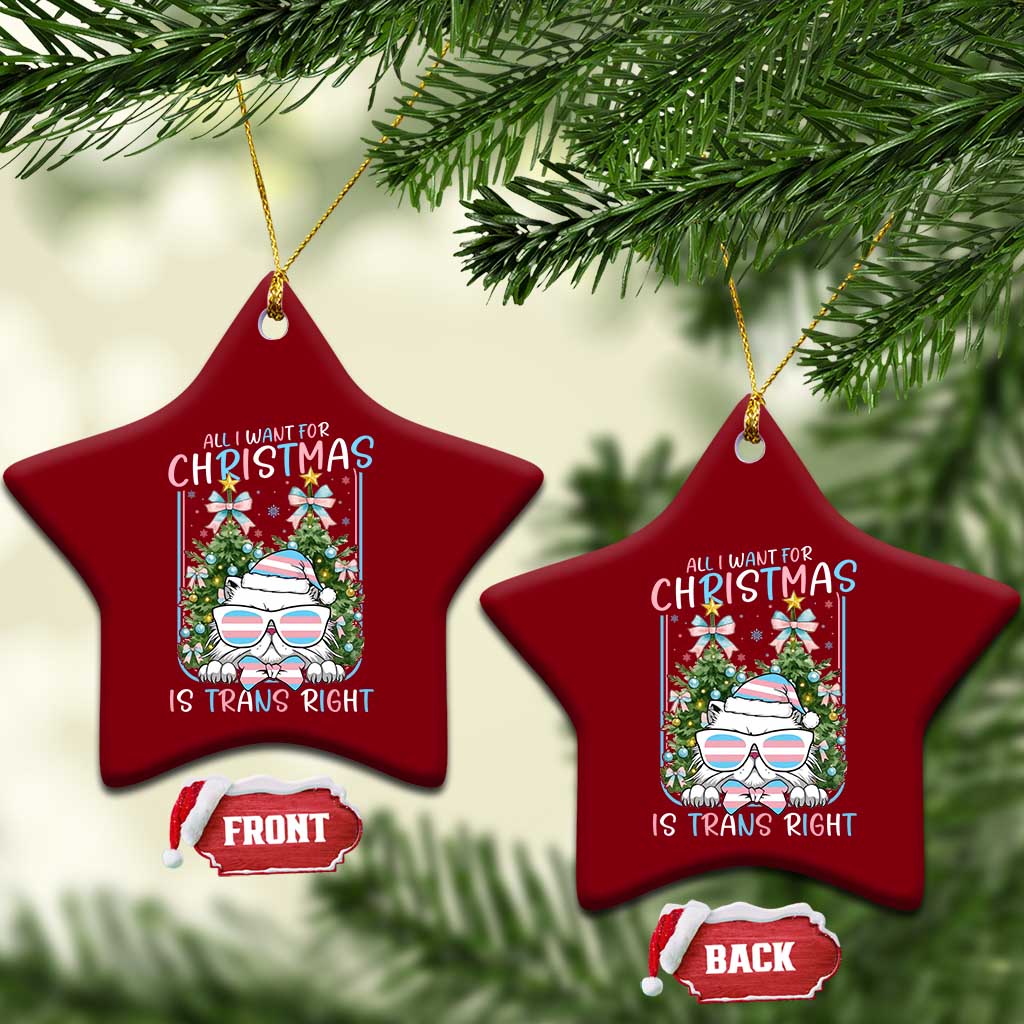 Funny Santa Cat Trans Pride Ceramic Ornament All I Want For Christmas Is Trans Rights TS12 Print Your Wear