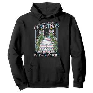 Funny Santa Cat Trans Pride Hoodie All I Want For Christmas Is Trans Rights TS12 Black Print Your Wear