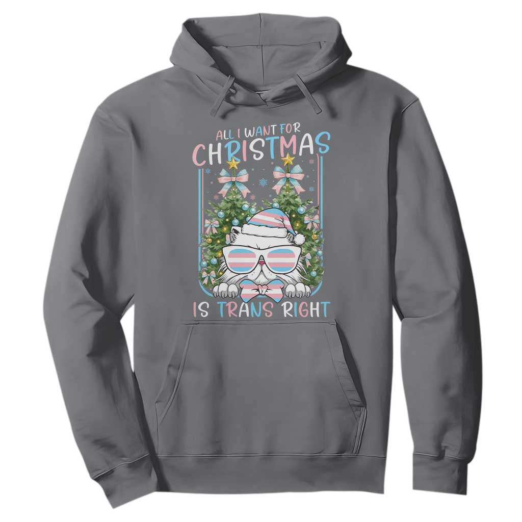 Funny Santa Cat Trans Pride Hoodie All I Want For Christmas Is Trans Rights TS12 Charcoal Print Your Wear