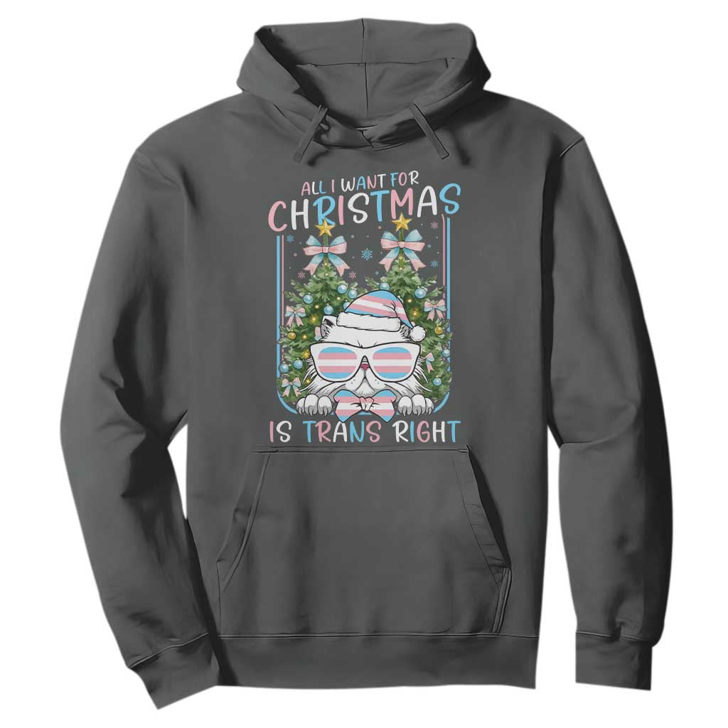 Funny Santa Cat Trans Pride Hoodie All I Want For Christmas Is Trans Rights TS12 Dark Heather Print Your Wear