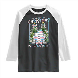 Funny Santa Cat Trans Pride Raglan Shirt All I Want For Christmas Is Trans Rights TS12 Black White Print Your Wear