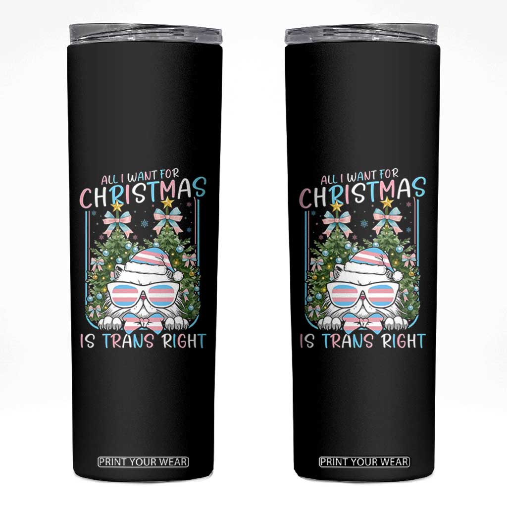 Funny Santa Cat Trans Pride Skinny Tumbler All I Want For Christmas Is Trans Rights TS12 Black Print Your Wear