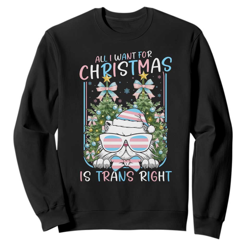 Funny Santa Cat Trans Pride Sweatshirt All I Want For Christmas Is Trans Rights TS12 Black Print Your Wear