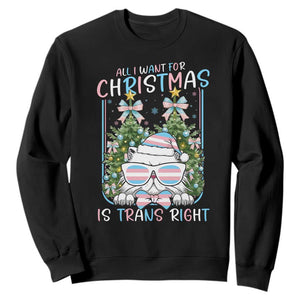 Funny Santa Cat Trans Pride Sweatshirt All I Want For Christmas Is Trans Rights TS12 Black Print Your Wear