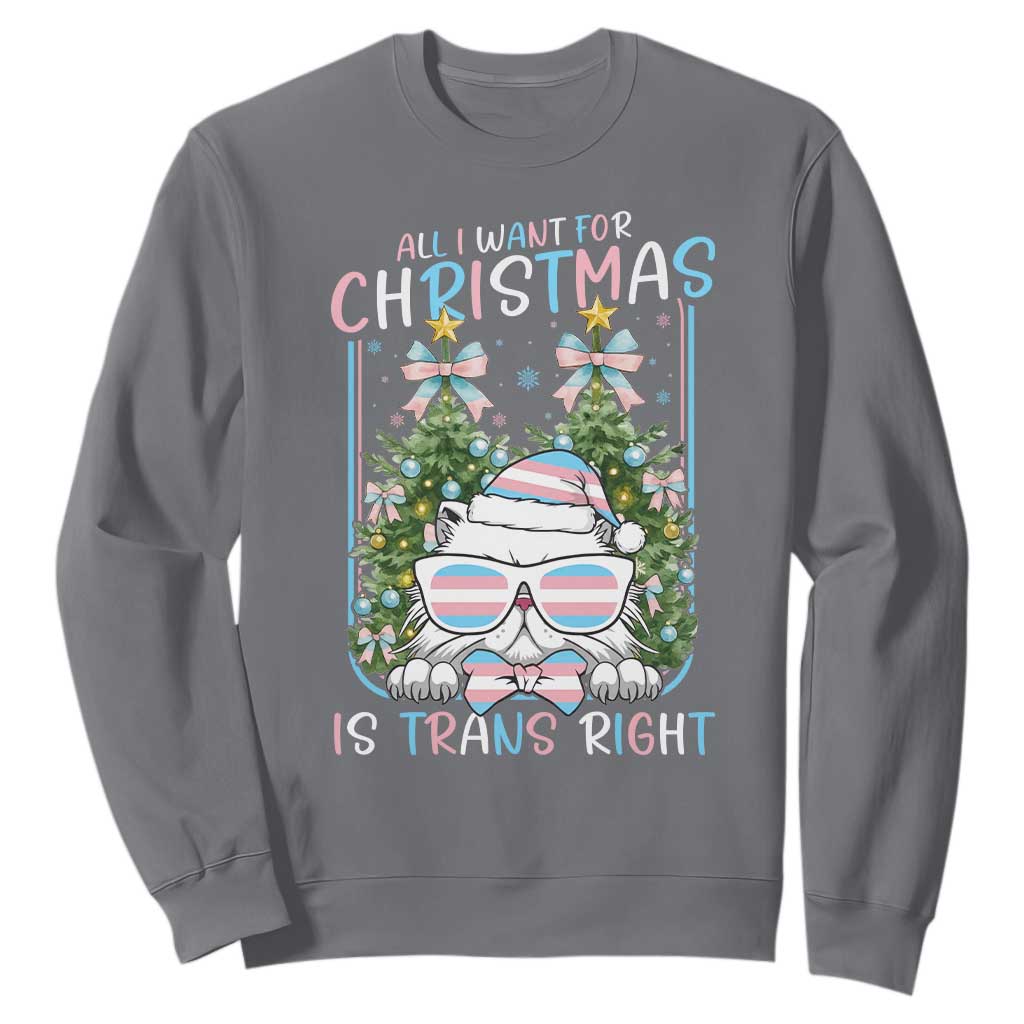 Funny Santa Cat Trans Pride Sweatshirt All I Want For Christmas Is Trans Rights TS12 Charcoal Print Your Wear