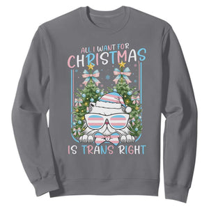 Funny Santa Cat Trans Pride Sweatshirt All I Want For Christmas Is Trans Rights TS12 Charcoal Print Your Wear