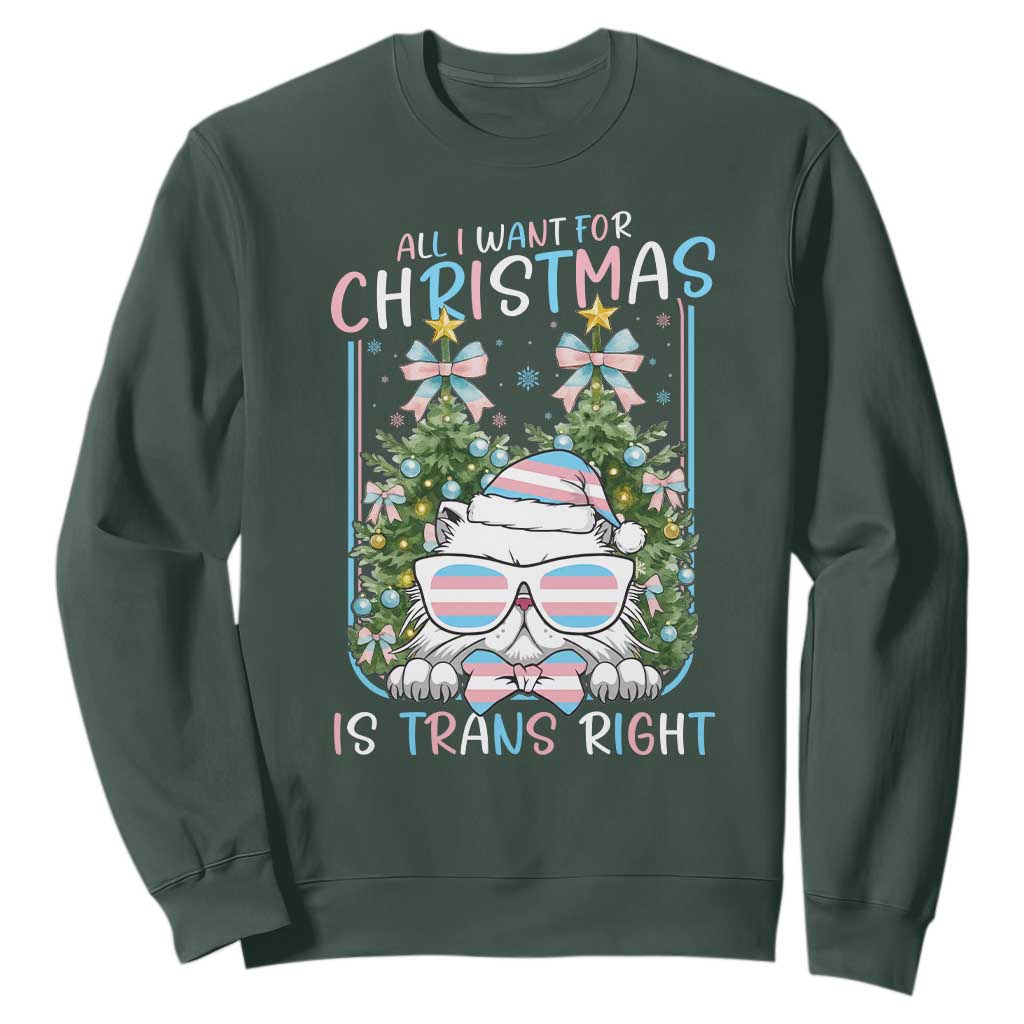 Funny Santa Cat Trans Pride Sweatshirt All I Want For Christmas Is Trans Rights TS12 Dark Forest Green Print Your Wear