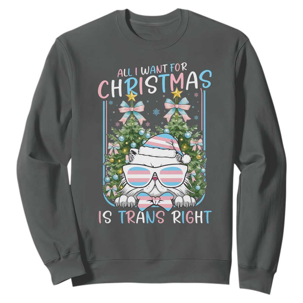 Funny Santa Cat Trans Pride Sweatshirt All I Want For Christmas Is Trans Rights TS12 Dark Heather Print Your Wear