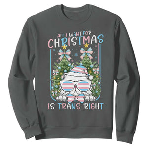 Funny Santa Cat Trans Pride Sweatshirt All I Want For Christmas Is Trans Rights TS12 Dark Heather Print Your Wear