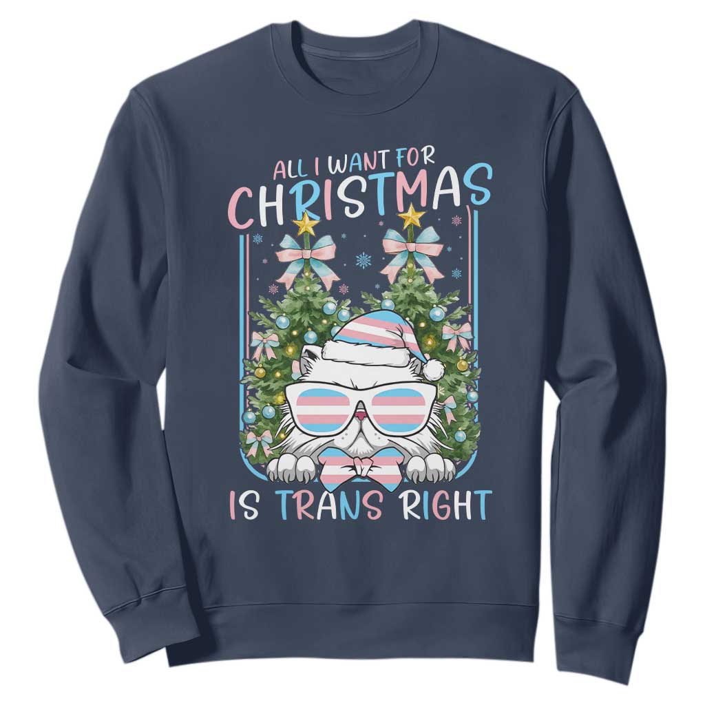 Funny Santa Cat Trans Pride Sweatshirt All I Want For Christmas Is Trans Rights TS12 Navy Print Your Wear