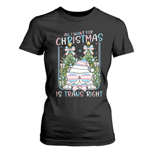 Funny Santa Cat Trans Pride T Shirt For Women All I Want For Christmas Is Trans Rights TS12 Black Print Your Wear