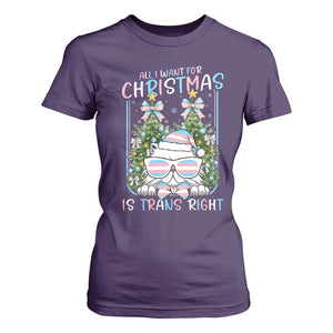 Funny Santa Cat Trans Pride T Shirt For Women All I Want For Christmas Is Trans Rights TS12 Purple Print Your Wear