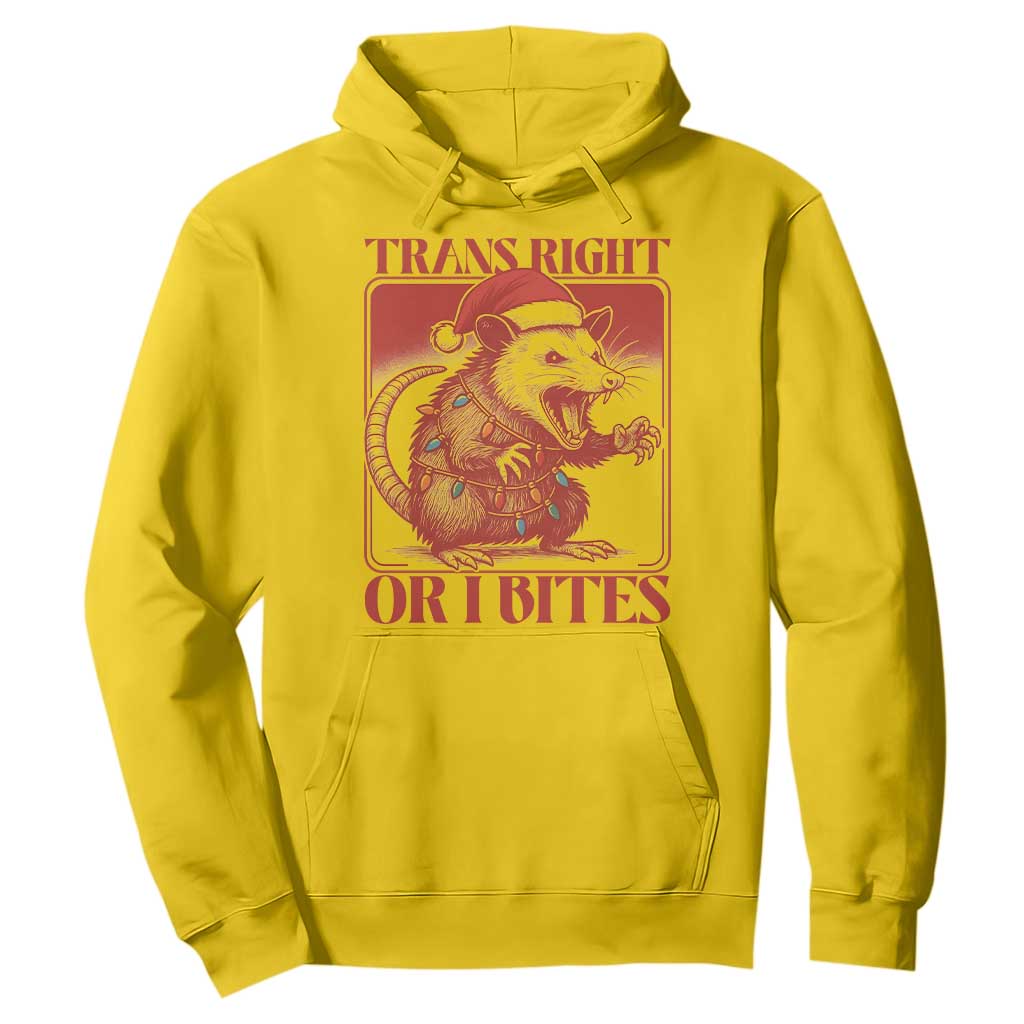 Funny Fierce Opossum Santa Hoodie Trans Right Or I Bites Christmas Gift TS12 Daisy Print Your Wear