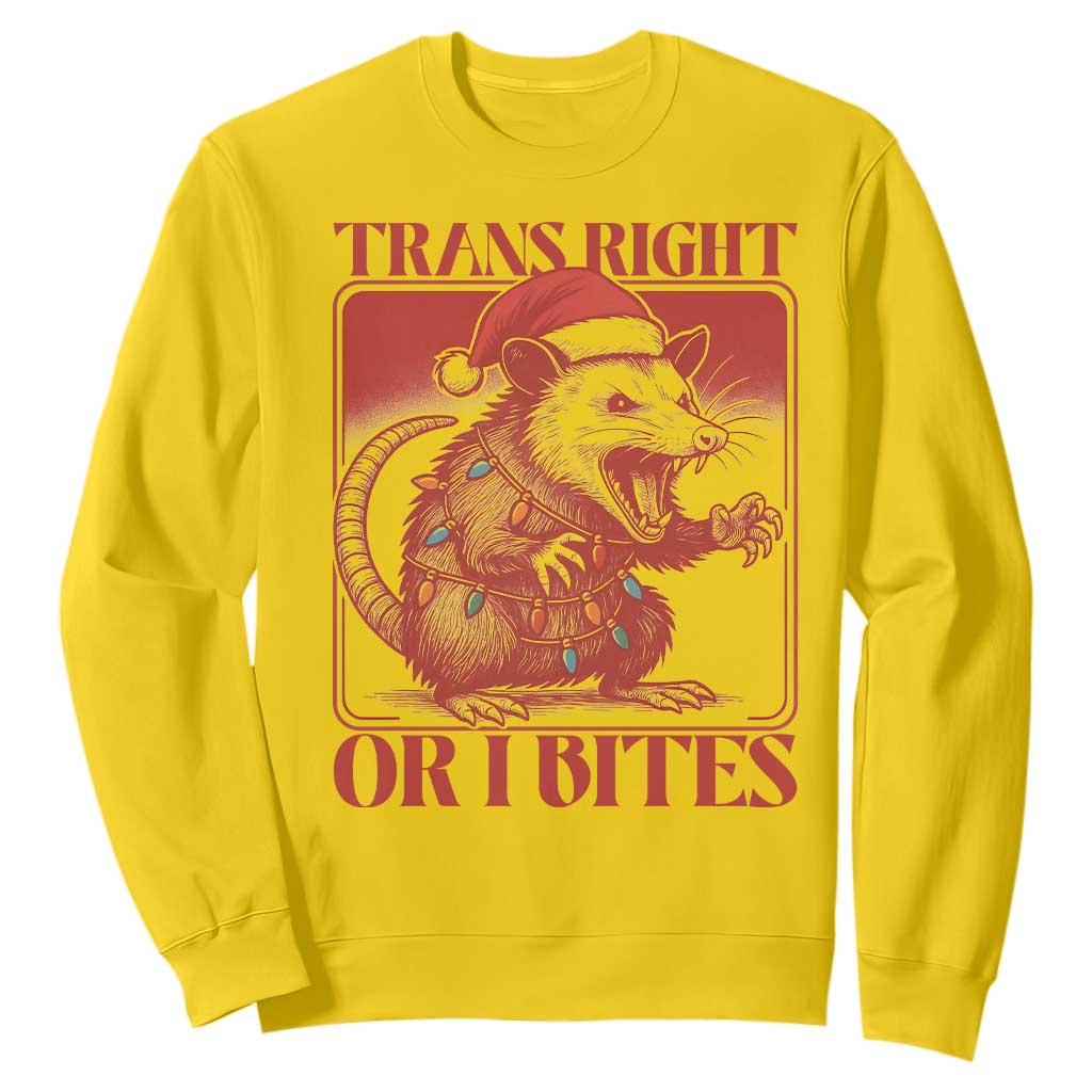 Funny Fierce Opossum Santa Sweatshirt Trans Right Or I Bites Christmas Gift TS12 Daisy Print Your Wear