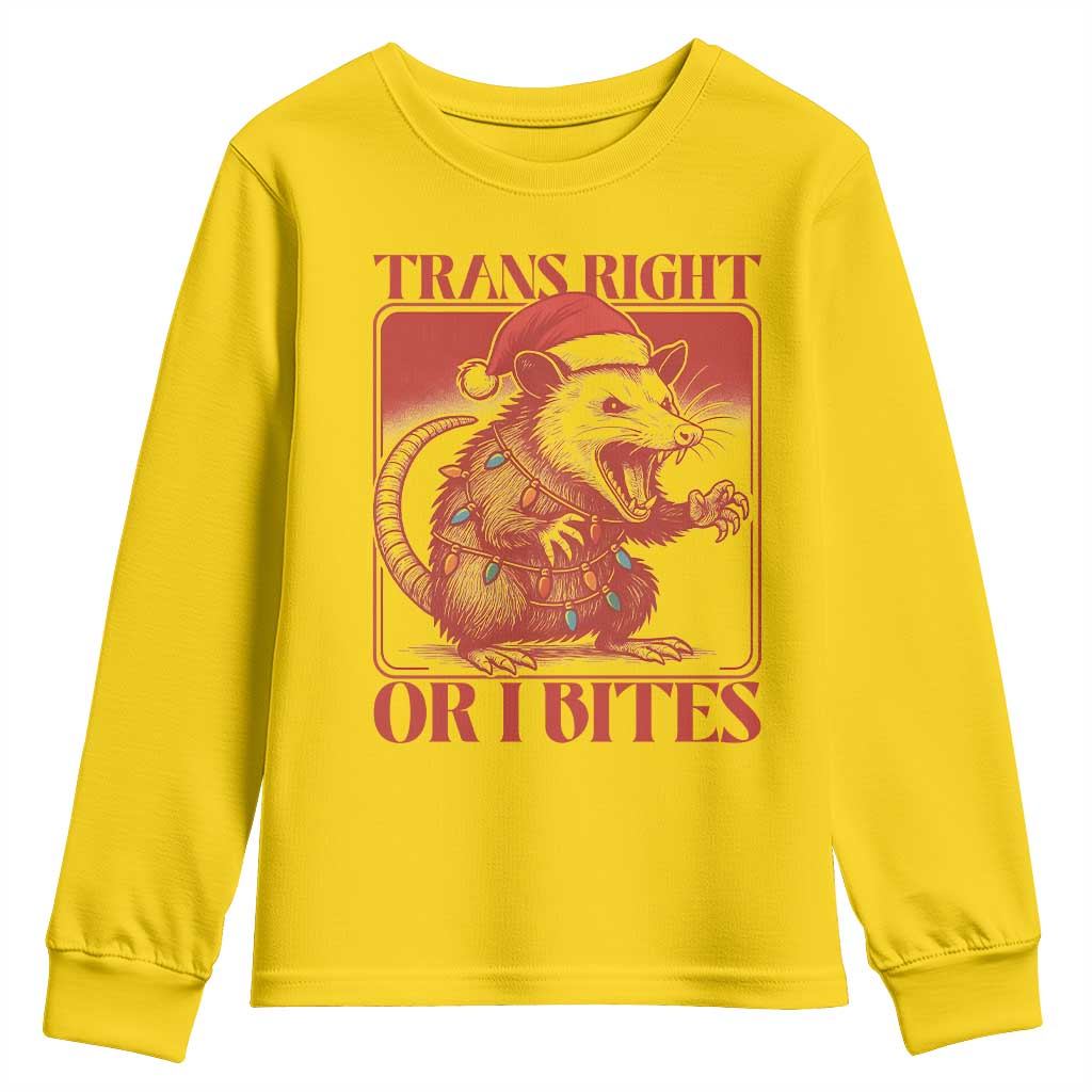 Funny Fierce Opossum Santa Youth Sweatshirt Trans Right Or I Bites Christmas Gift TS12 Daisy Print Your Wear