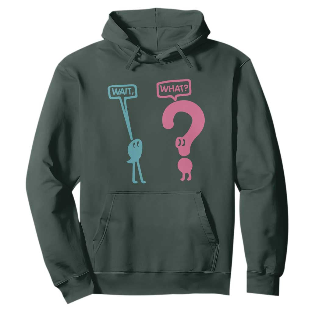 Wait What Grammar English Teacher Hoodie Funny Punctuation Gift