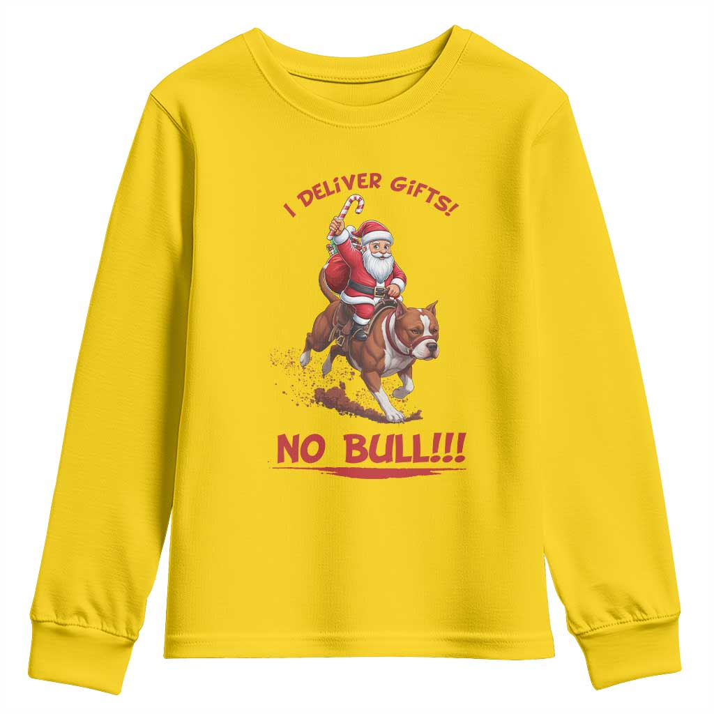 Funny Santa Pitbull Christmas Youth Sweatshirt I Deliver Gifts No Bull TS12 Daisy Print Your Wear
