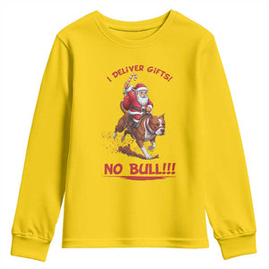 Funny Santa Pitbull Christmas Youth Sweatshirt I Deliver Gifts No Bull TS12 Daisy Print Your Wear