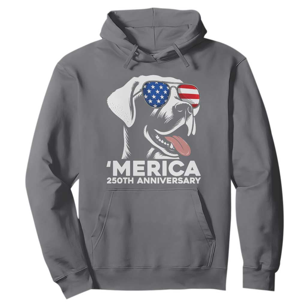 Merica Labrador Retriever Lover Hoodie 250th Anniversary Gift TS12 Charcoal Print Your Wear