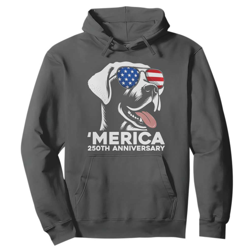 Merica Labrador Retriever Lover Hoodie 250th Anniversary Gift TS12 Dark Heather Print Your Wear