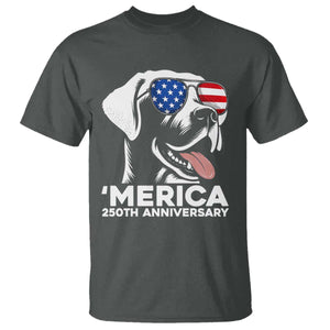 Merica Labrador Retriever Lover T Shirt 250th Anniversary Gift TS12 Dark Heather Print Your Wear