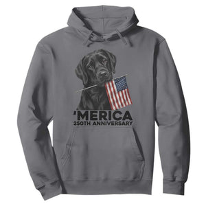 Patriotic Labrador Retriever Hoodie America 250th Anniversary Gift TS12 Charcoal Print Your Wear