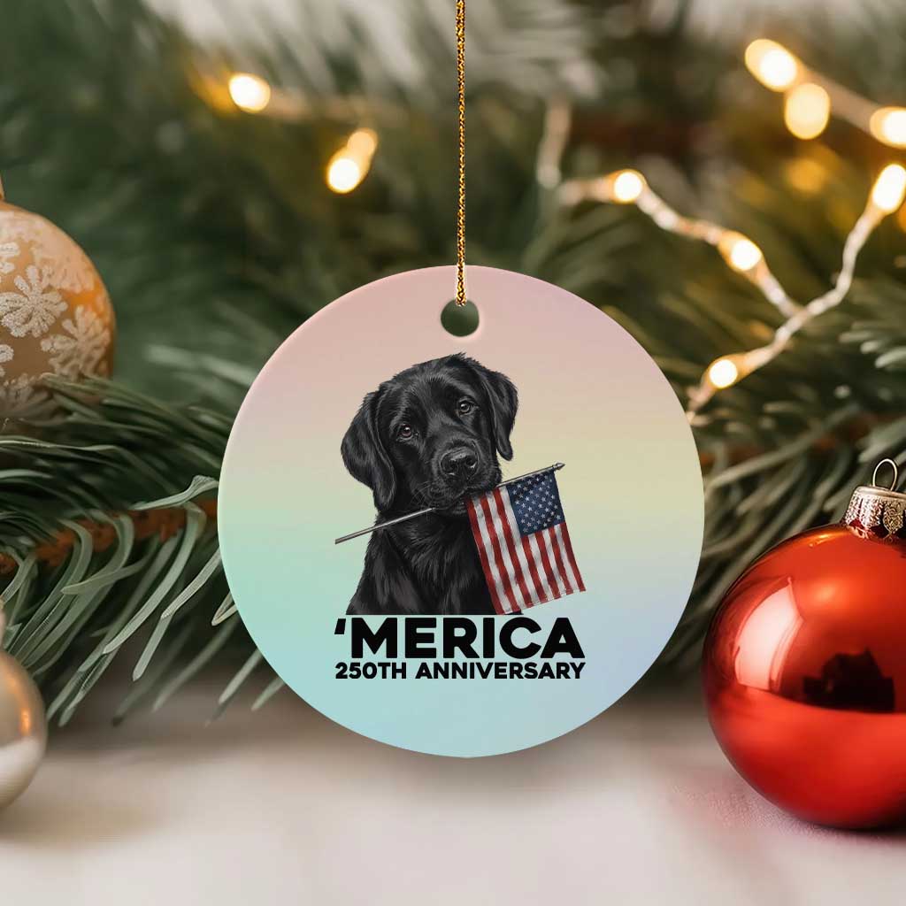 Patriotic Labrador Retriever Ceramic Ornament America 250th Anniversary Gift TS12 1pc Pastel Print Your Wear