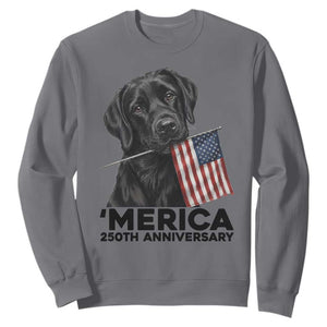Patriotic Labrador Retriever Sweatshirt America 250th Anniversary Gift TS12 Charcoal Print Your Wear