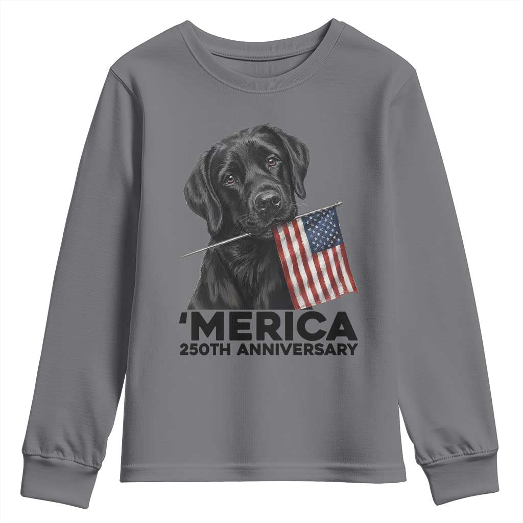 Patriotic Labrador Retriever Youth Sweatshirt America 250th Anniversary Gift TS12 Charcoal Print Your Wear