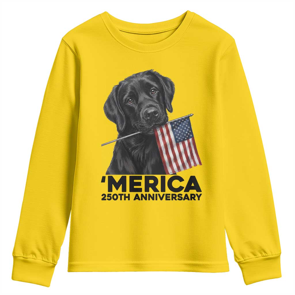 Patriotic Labrador Retriever Youth Sweatshirt America 250th Anniversary Gift TS12 Daisy Print Your Wear