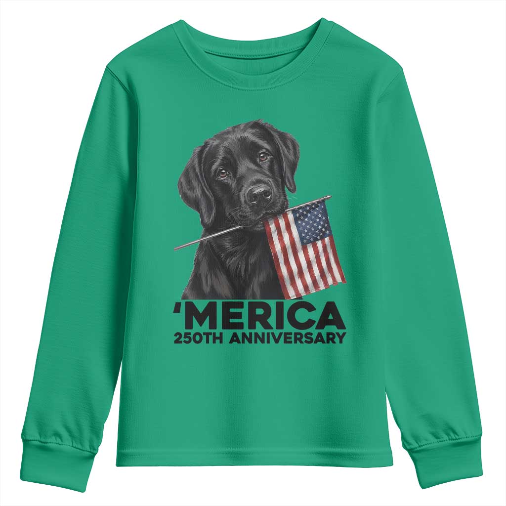 Patriotic Labrador Retriever Youth Sweatshirt America 250th Anniversary Gift TS12 Irish Green Print Your Wear