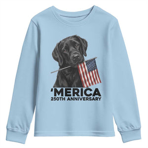 Patriotic Labrador Retriever Youth Sweatshirt America 250th Anniversary Gift TS12 Light Blue Print Your Wear
