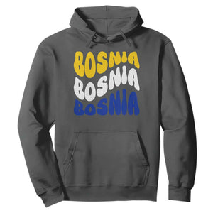 Groovy Retro Bosnia Hoodie Proud Bosnian Balkan Heritage Gift
