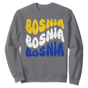Groovy Retro Bosnia Sweatshirt Proud Bosnian Balkan Heritage Gift