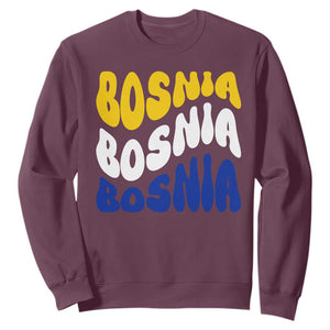 Groovy Retro Bosnia Sweatshirt Proud Bosnian Balkan Heritage Gift