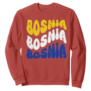 Groovy Retro Bosnia Sweatshirt Proud Bosnian Balkan Heritage Gift