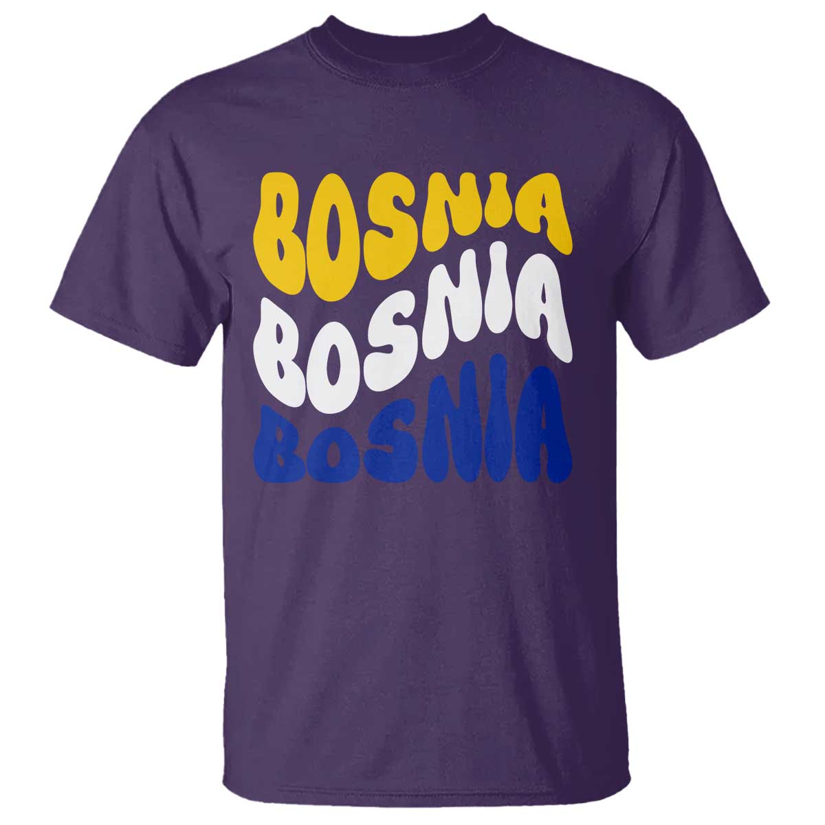 Groovy Retro Bosnia T Shirt Proud Bosnian Balkan Heritage Gift