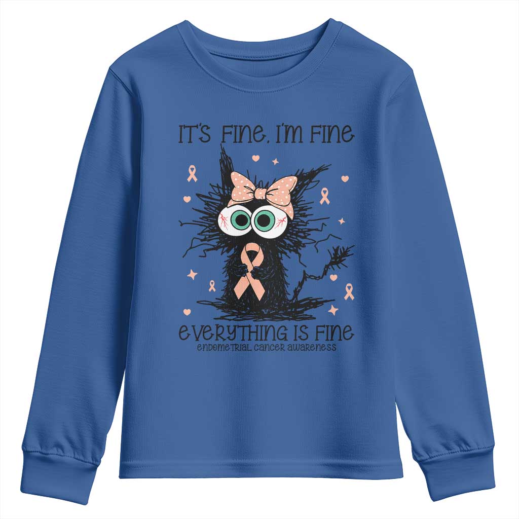 Funny Black Cat Endometrial Cancer Awareness Youth Sweatshirt Its Fine Im Fine Everything Is Fine