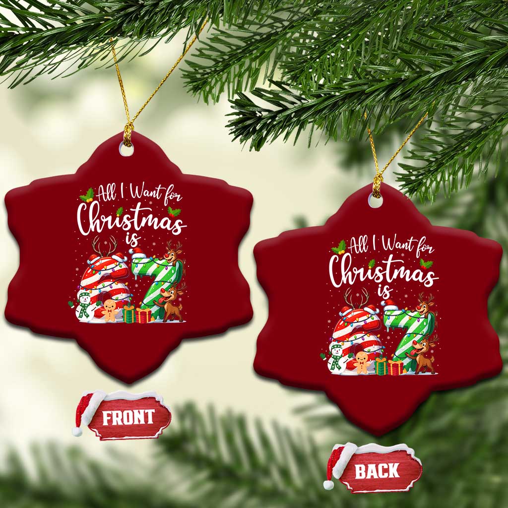 All I Want For Xmas Is 67 Ceramic Ornament Trending Meme Holiday Gift TS12 Print Your Wear