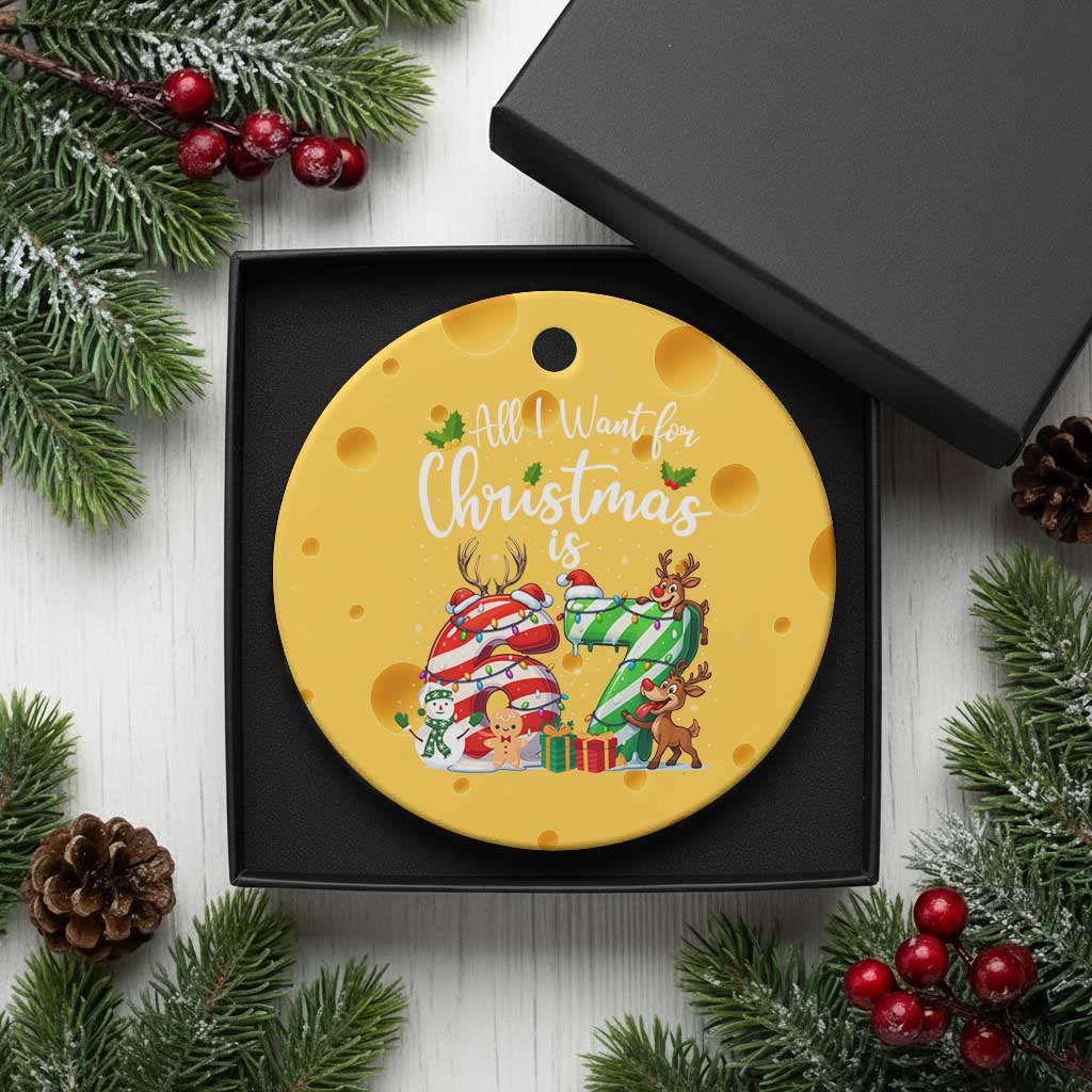 All I Want For Xmas Is 67 Ceramic Ornament Trending Meme Holiday Gift TS12 1pc Yellow Cheese Print Your Wear