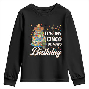 Funny Cinco De Mayo Birthday Youth Sweatshirt Mexican Fiesta Theme Party TS12 Black Print Your Wear