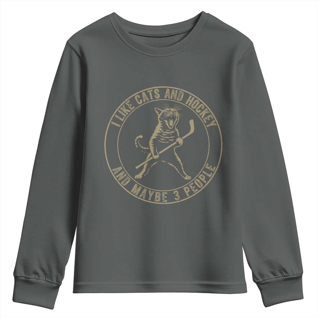 Vintage I Like Cats And Hockey And Maybe Three People Funny Gift Youth Sweatshirt TS12 Dark Heather Print Your Wear
