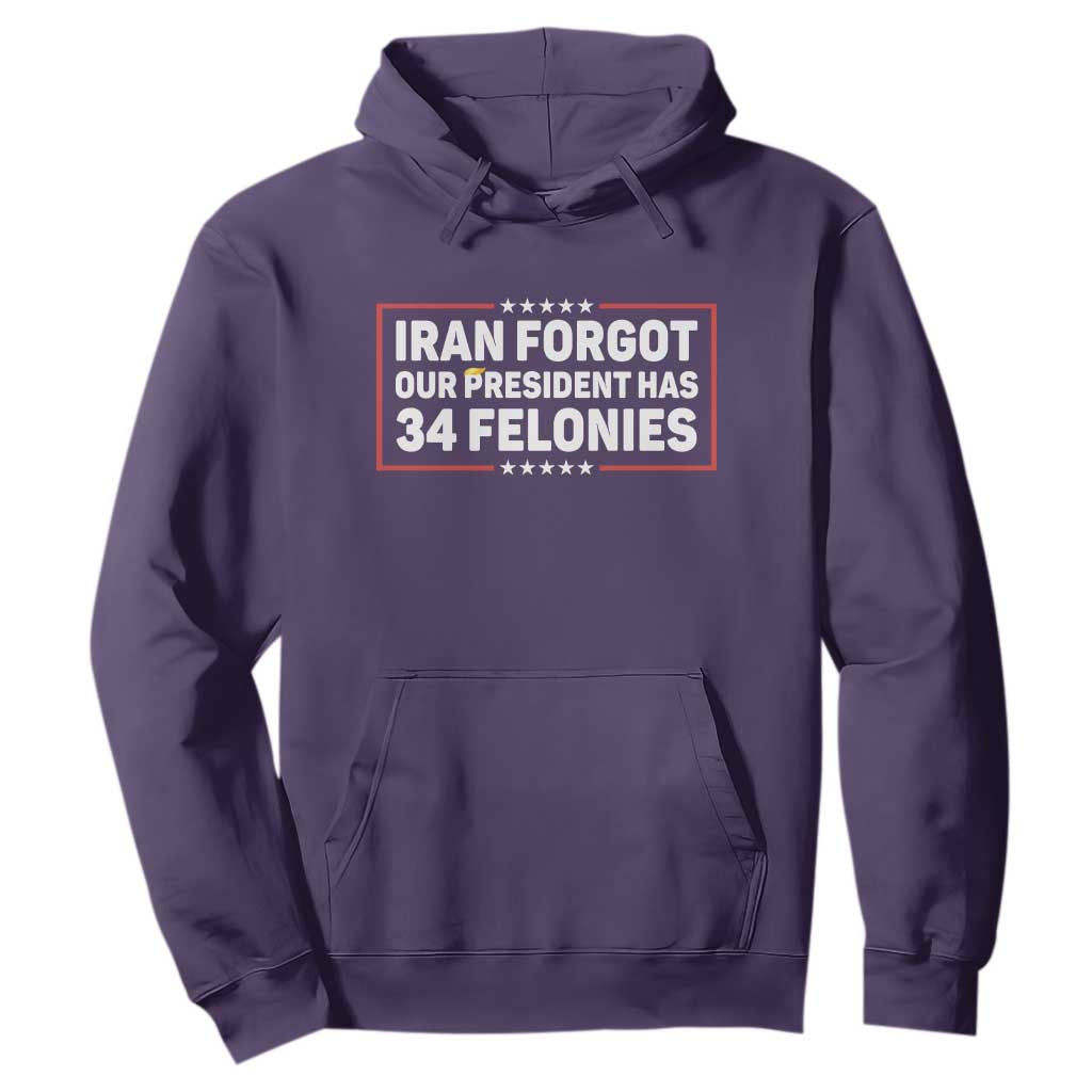 Iran Forgot Our President Has 34 Felonies Hoodie Political Protest TS12 Purple Print Your Wear
