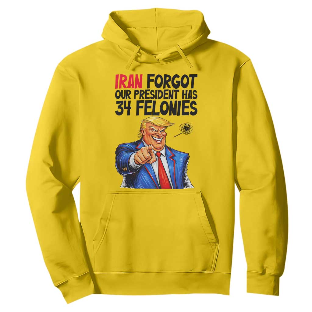 Iran Forgot Our President Has 34 Felonies Hoodie Funny Political Satire TS12 Daisy Print Your Wear