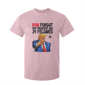 Iran Forgot Our President Has 34 Felonies T Shirt For Kid Funny Political Satire TS12 Light Pink Print Your Wear