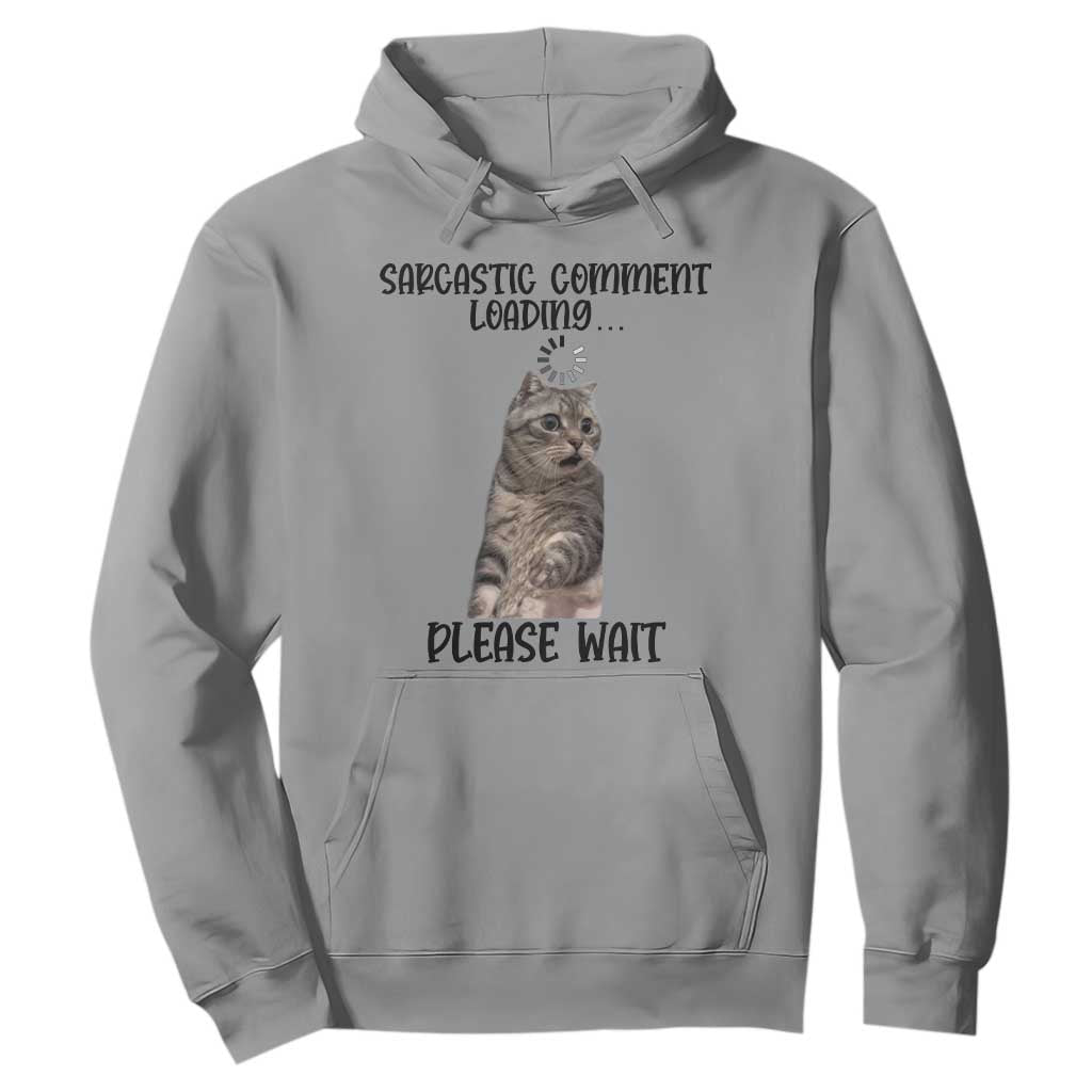 Funny Cat Meme Sarcastic Hoodie Sarcastic Comment Loading TS12 Sport Gray Print Your Wear