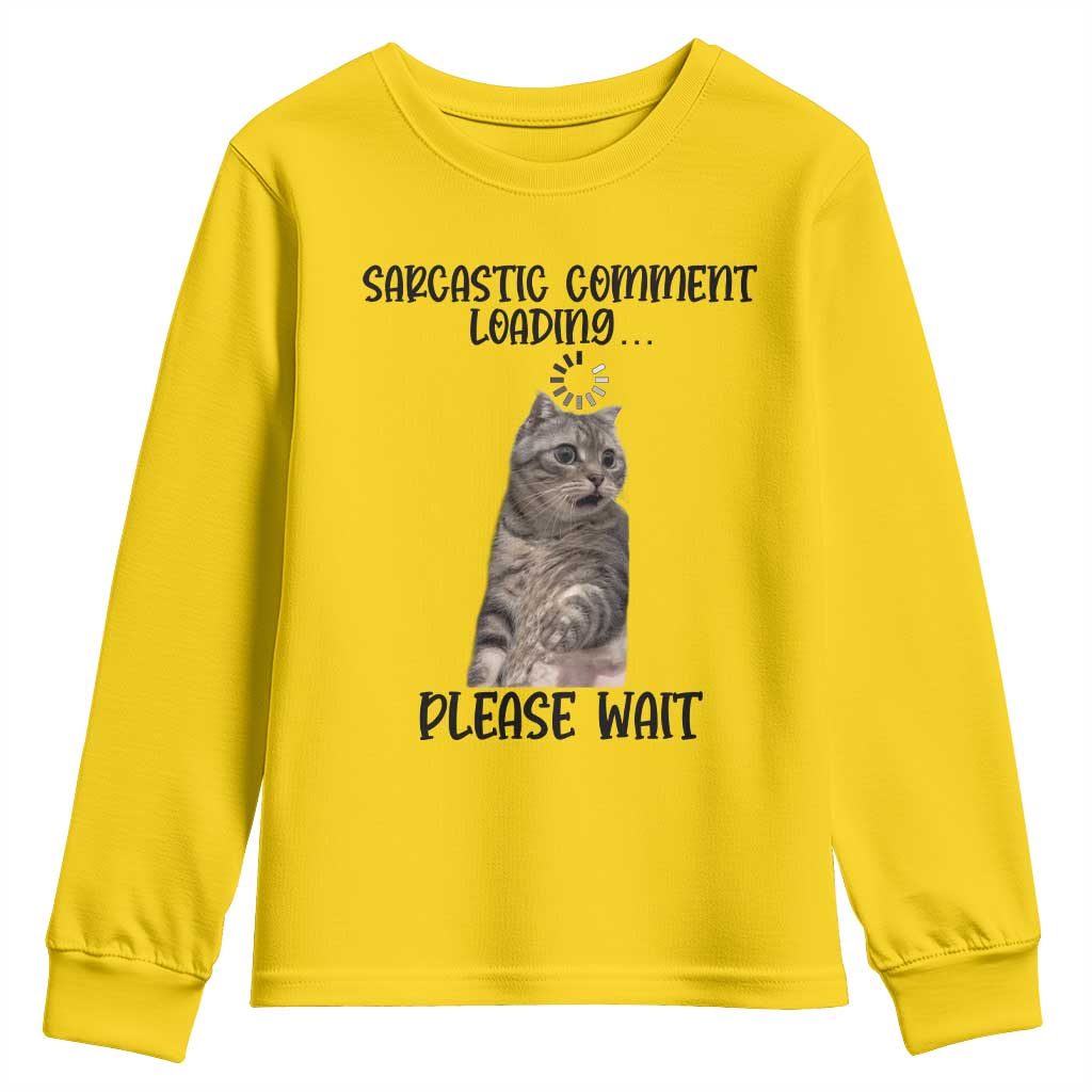 Funny Cat Meme Sarcastic Youth Sweatshirt Sarcastic Comment Loading TS12 Daisy Print Your Wear