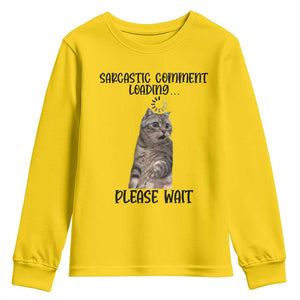 Funny Cat Meme Sarcastic Youth Sweatshirt Sarcastic Comment Loading TS12 Daisy Print Your Wear