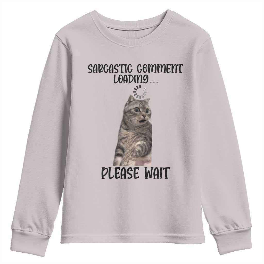 Funny Cat Meme Sarcastic Youth Sweatshirt Sarcastic Comment Loading TS12 Ice Gray Print Your Wear